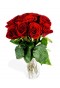 My Fair Lady 